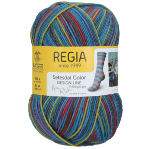 REGIA Laine à chaussettes Color Design Line 4 fils, 03822 Bykle 100g