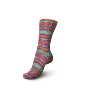 REGIA Laine à chaussettes Color Design Line 4 fils, 03824 Bygland 100g