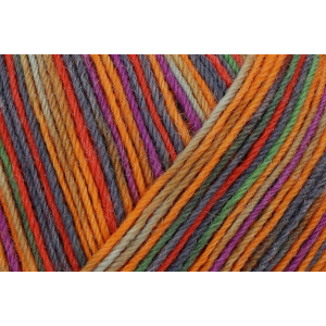 REGIA Laine à chaussettes Color Design Line 4 fils, 03828 Evje 100g