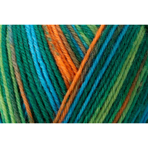 REGIA Laine à chaussettes Color Design Line 4 fils, 07033 Utnefjord 100g