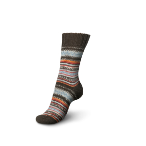 REGIA Laine à chaussettes Color Design Line 4 fils, 09135 Fall 100g