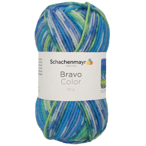 Schachenmayr Bravo Color, 02080 Aqua Jacq. 50g