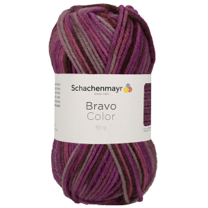 Schachenmayr Bravo Color, 02088 Beere 50g