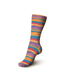 REGIA Laine à chaussettes Color 4 fils, 03726 Exotic 100g