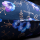Coussin d’allaitement XXL Premium en 100% coton bio housse amovible – Fleurs et ancres sur bleu marine | 185 cm de long