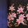 Sweat French Terry Bordure Lily look denim - Collection exclusive Glitzerpüppi