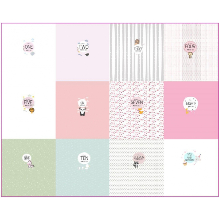 Jersey Big panneau douze mois - anglais -  bb rose