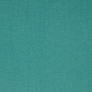 Tissu en bords-côtes bio Amelie Uni vieux menthe