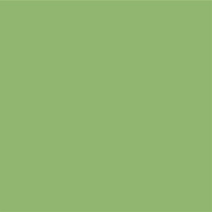 STAHLS Film flex CAD-CUT Sportsfilm #420 pastel green -...