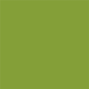 STAHLS Film flex CAD-CUT Floqué #405 lime green -...